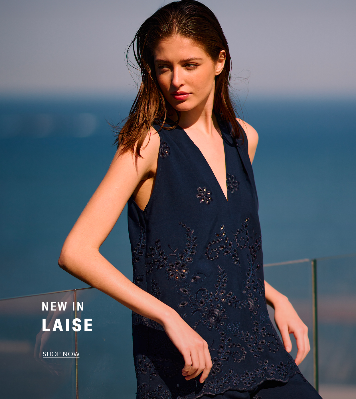 LAISE